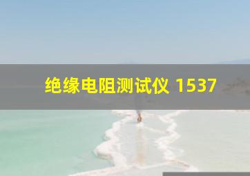 绝缘电阻测试仪 1537